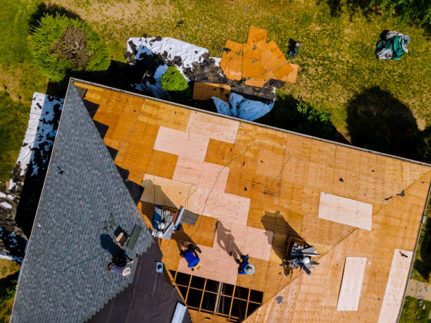 Quick and Trustworthy Emergency Roof Repair Services in Alton, TX